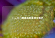 Steam平台游戏医院类型大揭秘