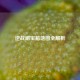 逆战刷宝箱地图全解析