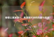 爱情公寓邂逅CF，高清图片中的热血与浪漫