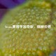 Steam赛博宇宙奇旅，探秘价格