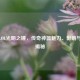 探秘LOL光明之锤，传奇神器魅力、影响与价格揭秘