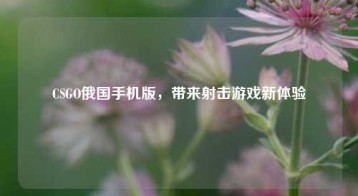 CSGO俄国手机版，带来射击游戏新体验