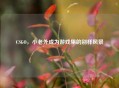 CSGO，小老外成为游戏里的别样风景