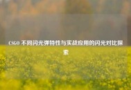CSGO 不同闪光弹特性与实战应用的闪光对比探索