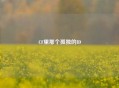 CF里那个孤独的ID