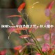 探秘Steam平台热血之作，巨人猎手