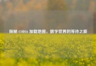 探秘 COD16 加载地图，数字世界的等待之旅