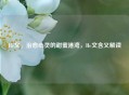He文，治愈心灵的甜蜜港湾，He文含义解读