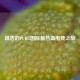 镇浩的PUBG国际服热血电竞之旅