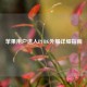 苹果用户进入PUBG外服详细指南