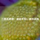 三国杀抓牌，邂逅未知，掌控战局