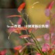Steam市场，VR领域前沿阵地