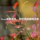 Steam袋鼠游戏，开启独特趣味之旅