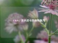 CSGO，泼水战斗的独特魅力