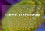 CSGO套印降价，市场震荡中的机遇与挑战