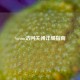 Steam访问关闭详细指南