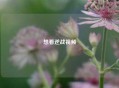想看逆战视频