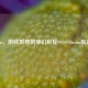 Steam，游戏世界的梦幻巨轮——Steam船游戏