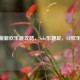 CF萌新欢乐跳攻略，Solo乐趣足，CF欢乐多