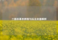 三国杀基本教程与玩法全面解析