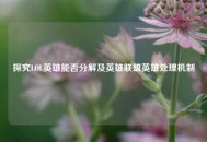 探究LOL英雄能否分解及英雄联盟英雄处理机制