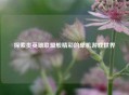 探索类英雄联盟般精彩的单机游戏世界