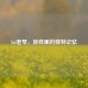 lol老琴，游戏里的独特记忆