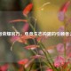 王者荣耀官方，电竞生态构建的引领者之路