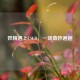 妖精遇上CSGO，一场奇妙邂逅