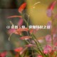 CF 会员 5 级，荣耀特权之征