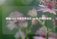 揭秘 CSGO 完美世界段位 ABCDE 的划分奥秘