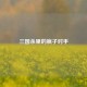 三国杀里的疯子对手