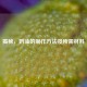 揭秘，奶油的 ***  *** 及所需材料