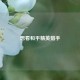 想看和平精英猎手