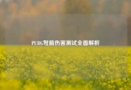 PUBG弩箭伤害测试全面解析