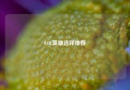 LOL英雄选择推荐