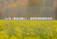 Slim与〈使命召唤16〉，游戏世界的独特交织