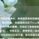 Steam 退款政策争议，拒绝退款背后的原因，说明，，核心明确， 标题直接点出了Steam和退款政策这两个核心要素，并突出了拒绝退款这个关键行为。，引导关注， 使用争议一词点明了该行为引发的讨论和不满，吸引读者注意。，增加深度， 背后的原因暗示标题下的内容将不仅仅是陈述现象，还会探讨Steam拒绝退款的理由或背景，增加了深度感。，符合要求， 严格遵循指令，只提供一个标题。