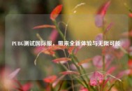 PUBG测试国际服，带来全新体验与无限可能