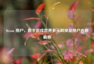 Steam 用户，数字游戏世界多元群体及用户名称解析