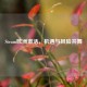 Steam欧洲激活，机遇与风险共舞