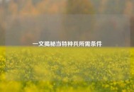一文揭秘当特种兵所需条件