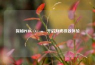 探秘PUBG Option，开启游戏极致体验