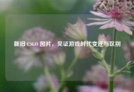 新旧 CSGO 图片，见证游戏时代变迁与区别
