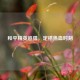 和平精英追猎，定格热血时刻