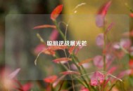 聪明逆战展光芒