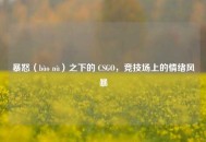 暴怒（bào nù）之下的 CSGO，竞技场上的情绪风暴