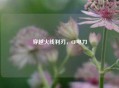 穿越火线利刃，CF电刀