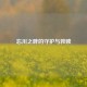 忘川之畔的守护与救赎