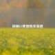 探秘CF神器购买渠道